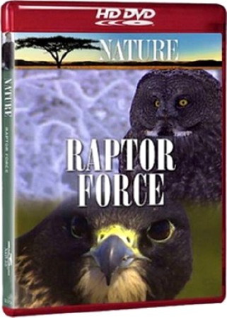 NG:    / Raptor Force (2009) HDTVRip