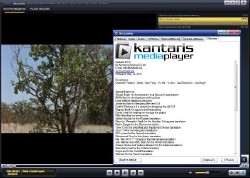 Kantaris MediaPlayer v 0.7.4 (x32/x64/ML/RUS)