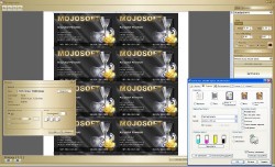 BusinessCards MX -4.3 +  1164  (2011/MULTI/RUS)