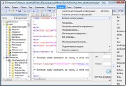 EmEditor Professional 10.0.7 (x86/x64)