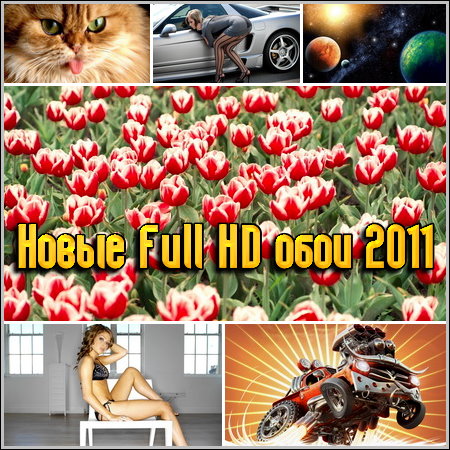  Full HD  2011
