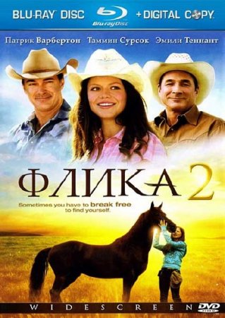  2 / Flicka 2 (2010) HDRip