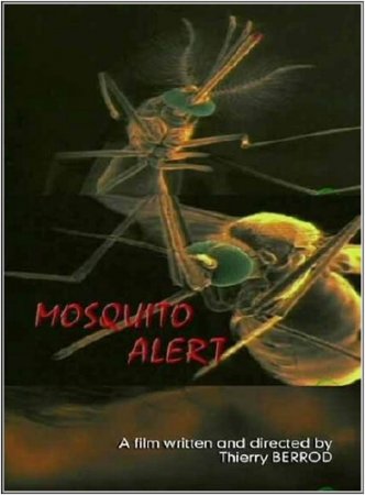  .  / Mosguito Alert (2001) SATRip