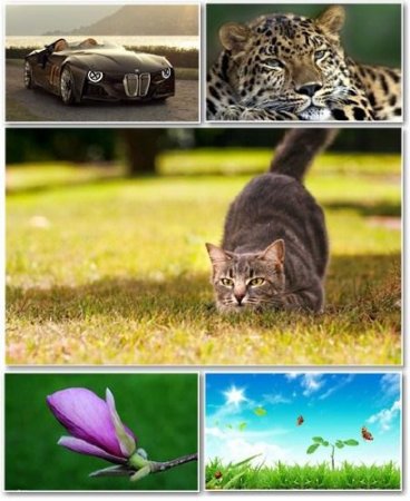 Best HD Wallpapers Pack 255