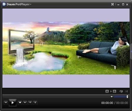 Daum PotPlayer 1.5.28577 RuS + Portable