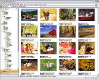 StudioLine Photo Basic v 3.70.33 (2011) Eng