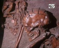  .   / Ancient mysteries. The Fate of Neandertals (2010/TVRip)