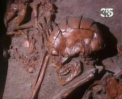  .   / Ancient mysteries. The Fate of Neandertals (2010) TVRip