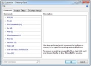 Directory Opus v10.0.0.0.4137 (x86/x64)