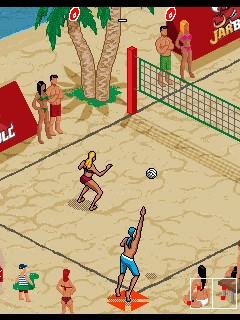 Beach Volleyball