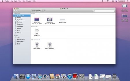 Mac OS X 10.7 Lion Developer Preview 4 (1A480b)[] (2011)