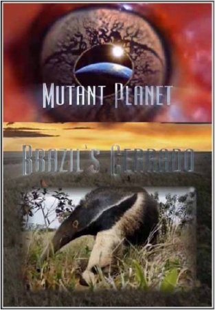 Animal Planet:  .  / Animal Planet: Mutant Planet. Brazil`s Cerrado (2010) SATRip