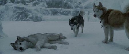   / Eight Below (2006) DVDRip-AVC