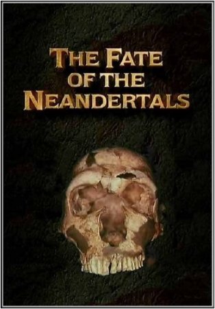  .   / Ancient mysteries. The Fate of Neandertals (2010/TVRip)