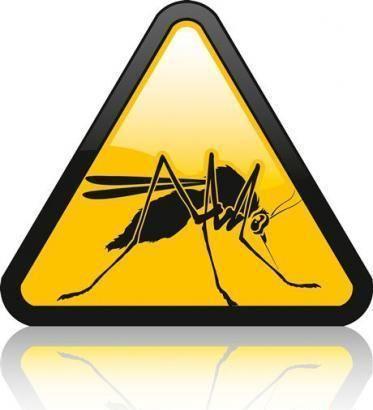 Antikomar 2011 (KP-Anti Mosquitoes)