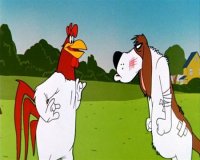    :    / Foghorn Leghorn & friends