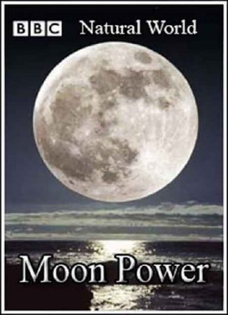 BBC:  .   / Natural World. Moon Power (2005) SATRip