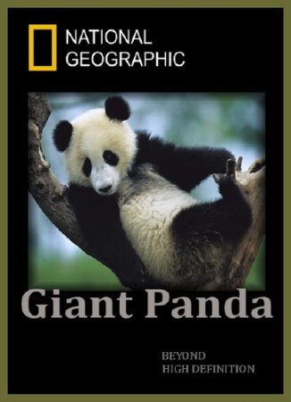  .    / Giant Panda. Pandas in the Wild (2009) HDTVRip