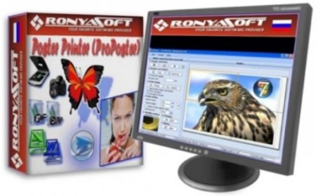 RonyaSoft Poster Printer 3.01.17 Rus