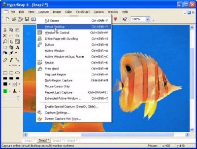 HyperSnap 8.4.1