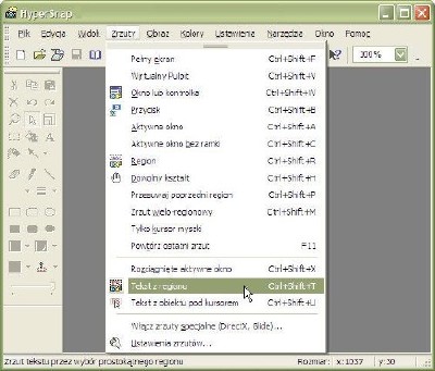 HyperSnap 8.4.1