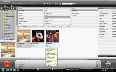 MediaMonkey Gold v4.0.0.1424