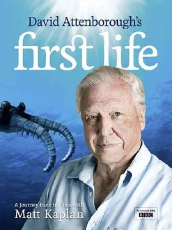      (2   2) / First Life with David Attenborough (2010) DVDRip