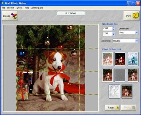 Wall Photo Maker 7.19 Press Relize