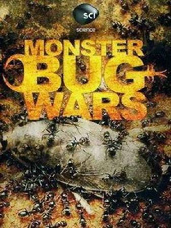 Animal Planet:  - / Monster bug wars (2011) SATRip