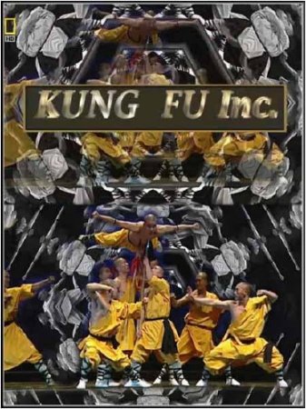 .  - / Kung Fu Inc. (2009) HDRip