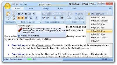 TMS Office Advanced Addition Toolbars & Menus V 5.2.6.1 