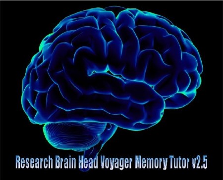 Research Brain Head Voyager Memory Tutor v2.5