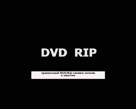    DVD-Rip (2011) WEBRip