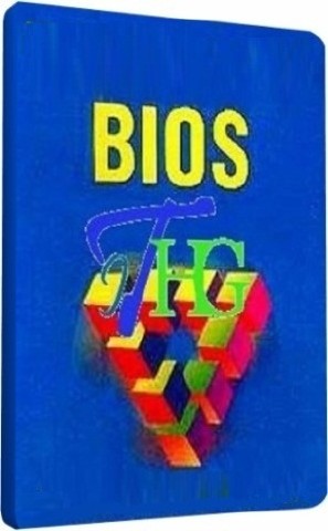  BIOS    (2011) SATRip