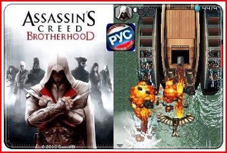 Assassins Creed Brotherhood  / Assassins Creed 