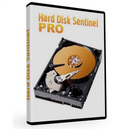 Hard Disk Sentinel Pro 3.70 Build 4981