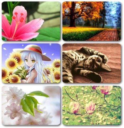 Wallpapers      (2011)  235