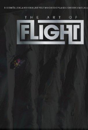   / The Art of Flight (2011) HDRip)