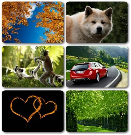 Wallpapers      (2011)  259