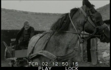   / A Torinoi lo / The Turin Horse (2011) Scr