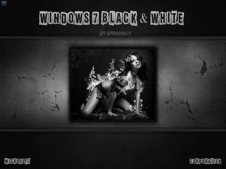 Windows 7 Black & White x64