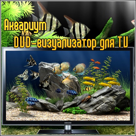  DVD-  TV (2011/DVD)