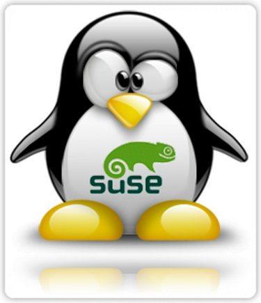 openSUSE 12.1 "Edu Li-f-e" [i686] (1xDVD)