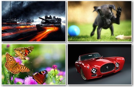 Amazing Wallpapers -      - Mega Pack 457