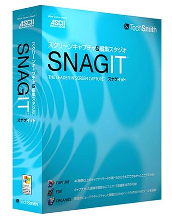 SnagIt 10.0.2 build 21 Portable (ENG)