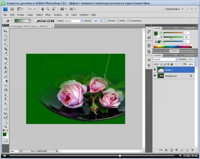    Adobe Photoshop.   (2012)