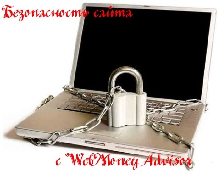      WebMoney Advisor (2010) SATRip