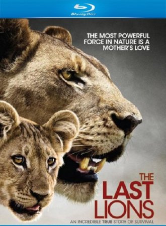   / The Last Lions (2011/HDRip)