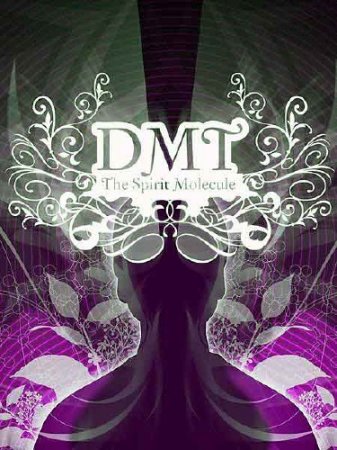 :   / DMT: The Spirit Molecule (2010) DVDRip