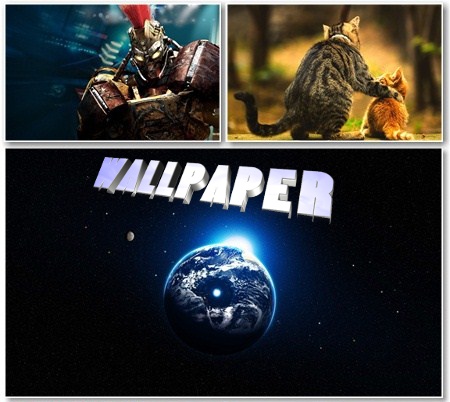 Wonderful Wallpapers -      - Release 478